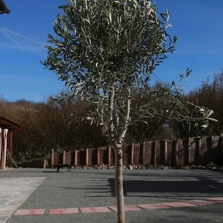 Ca D'rita Monferrato - Idromassaggio E Piscina Esterni