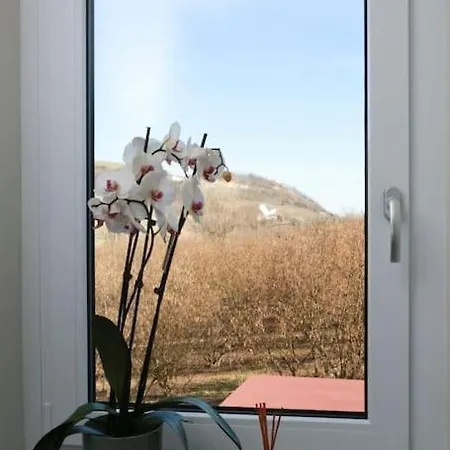 Nyaraló Ca D'rita Monferrato