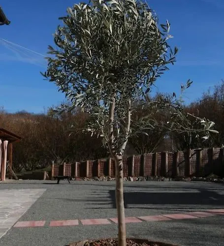 Ca D'rita Monferrato - Idromassaggio E Piscina Esterni