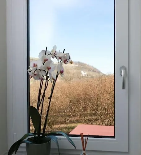 別荘 Ca D'rita Monferrato - Idromassaggio E Piscina Esterni